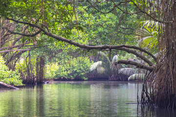 Yala Safari – Galle – Bentota