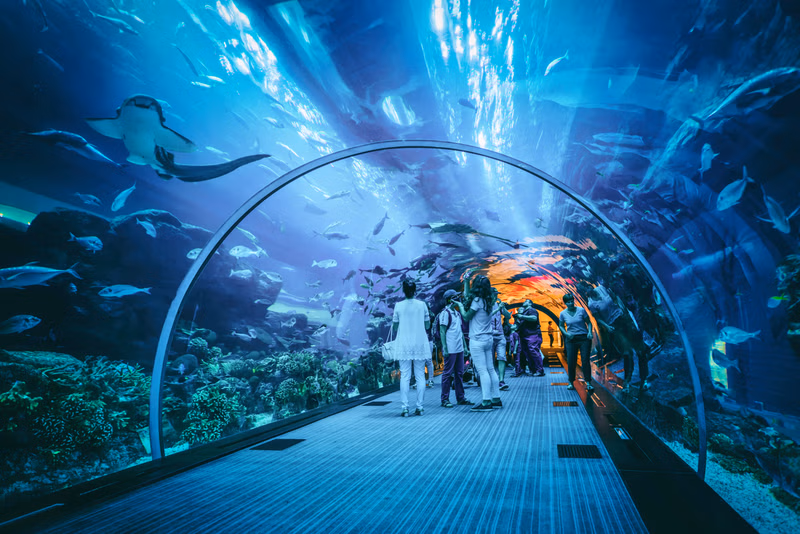 KL Bird Park With KLCC Aquarium :