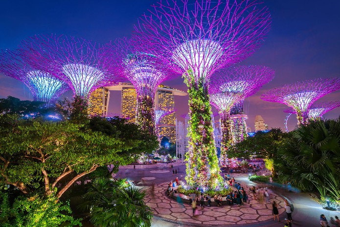 Visit Gardens by the Bay & completing activities : 