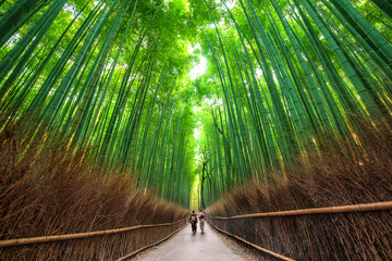 Kyoto Day