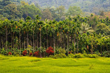 Murudeshwar – Karwar
