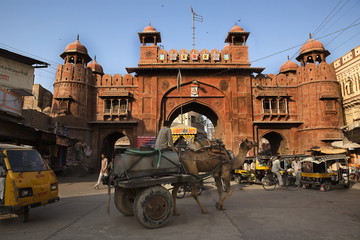 Jaisalmer – Bikaner