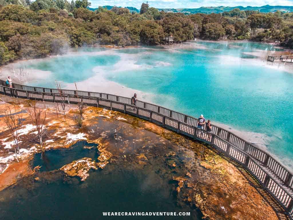AUCKLAND -ROTORUA –AUCKLAND