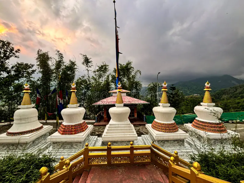 Move to Phuentsholing from Paro :