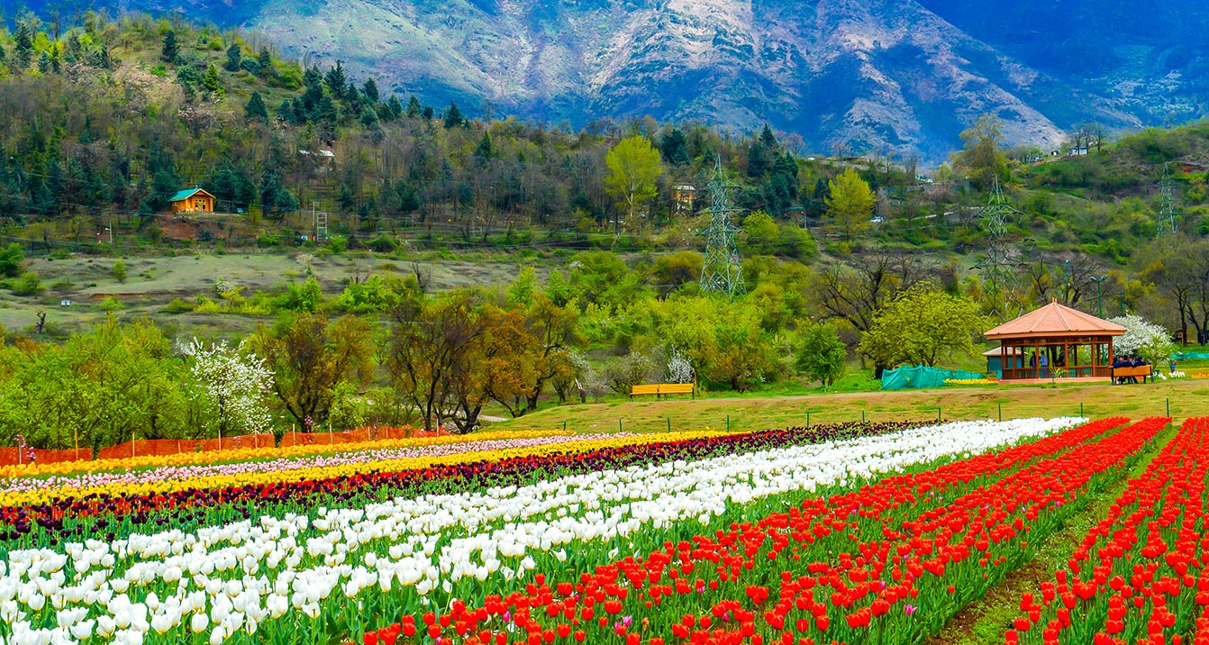 PAHELGAM TO SRINAGAR :