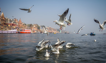 Varanasi – Vindhyachal – Sitamarhi
