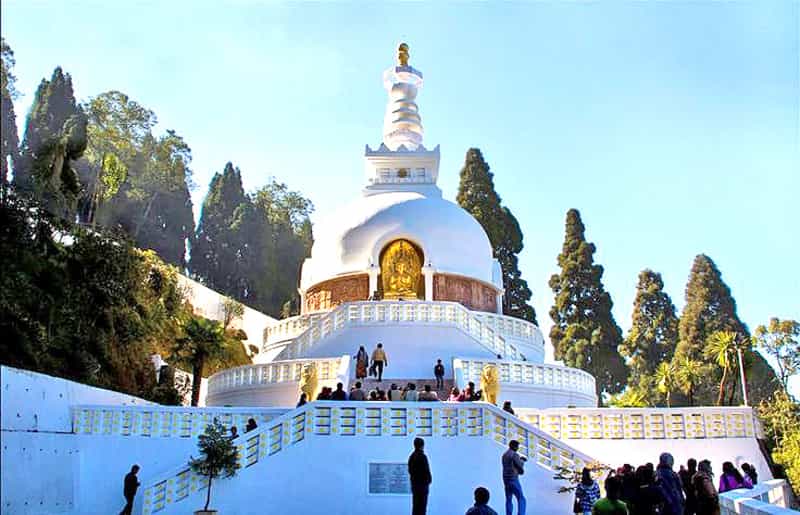 Darjeeling Local Sightseeing :