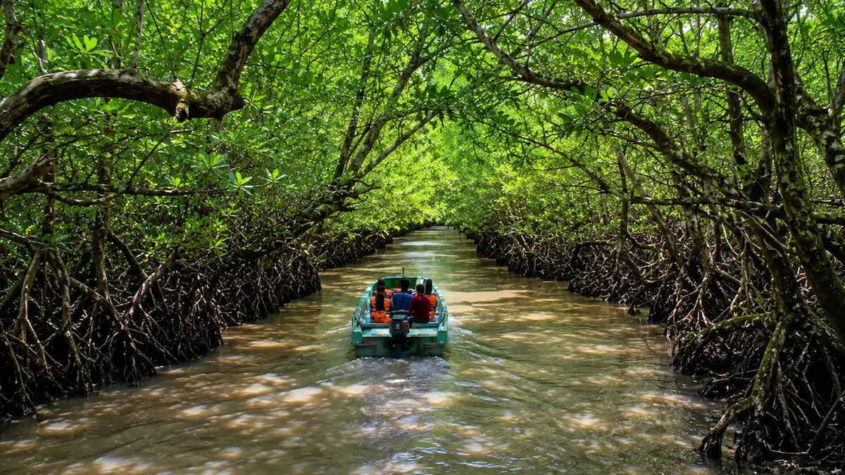Baratang – Nature's Best-Kept Secret