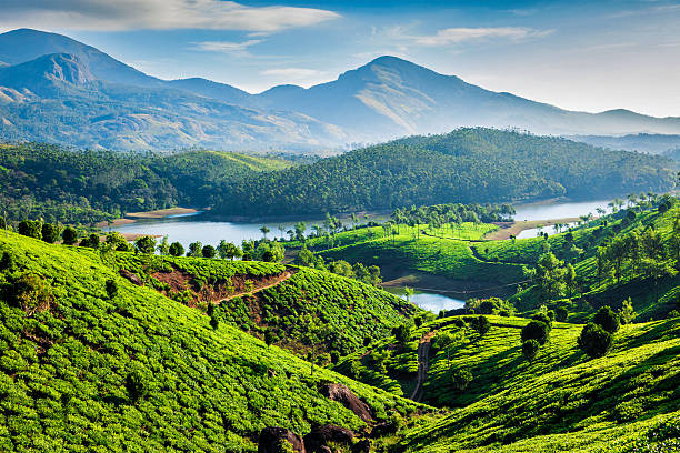 Kerala- The beauty