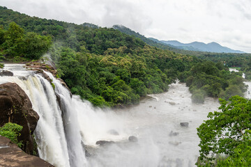 SPICE TRAILS AND FOREST TALES (Munnar ➜ Thekkady)