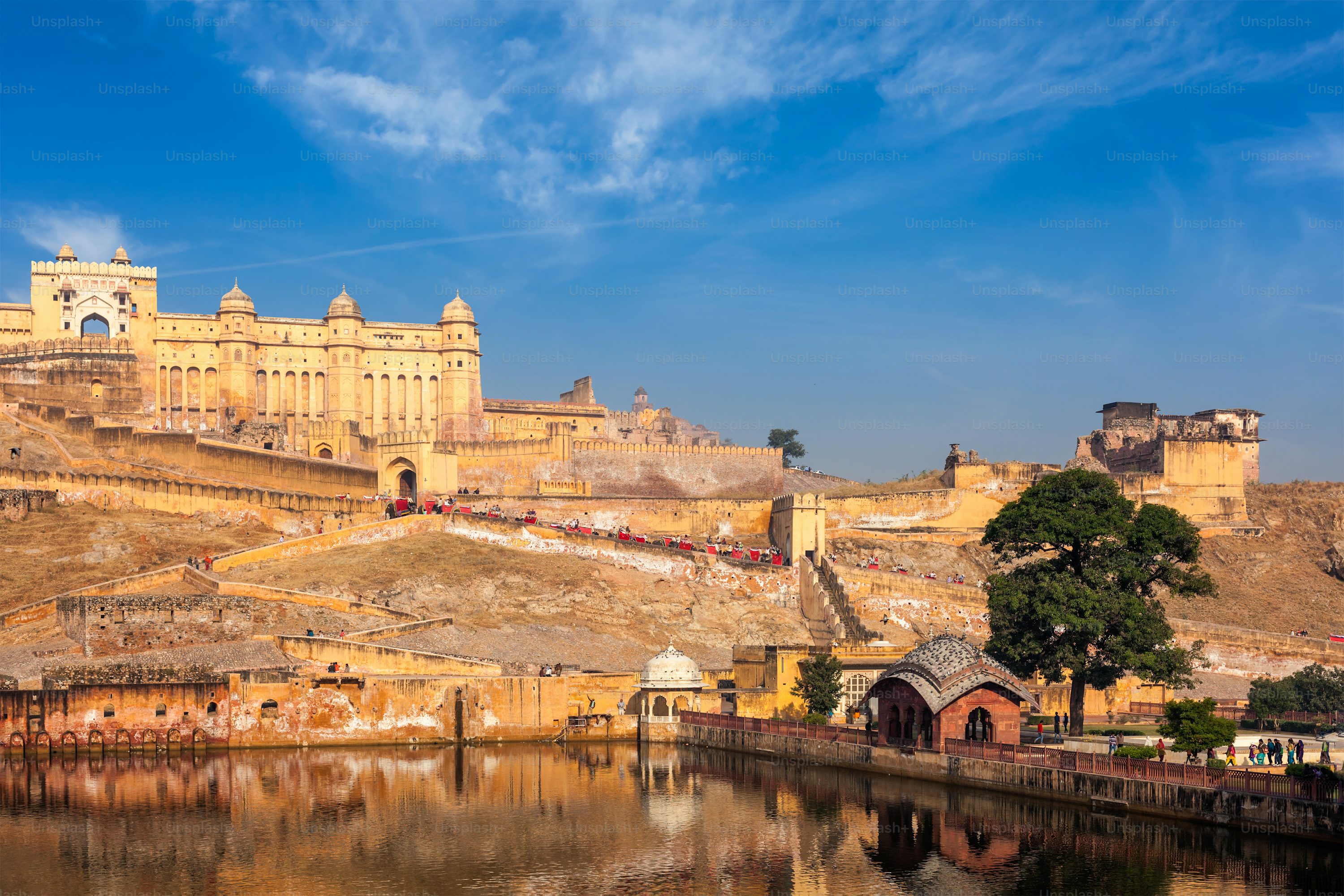 Transfer To Jaipur