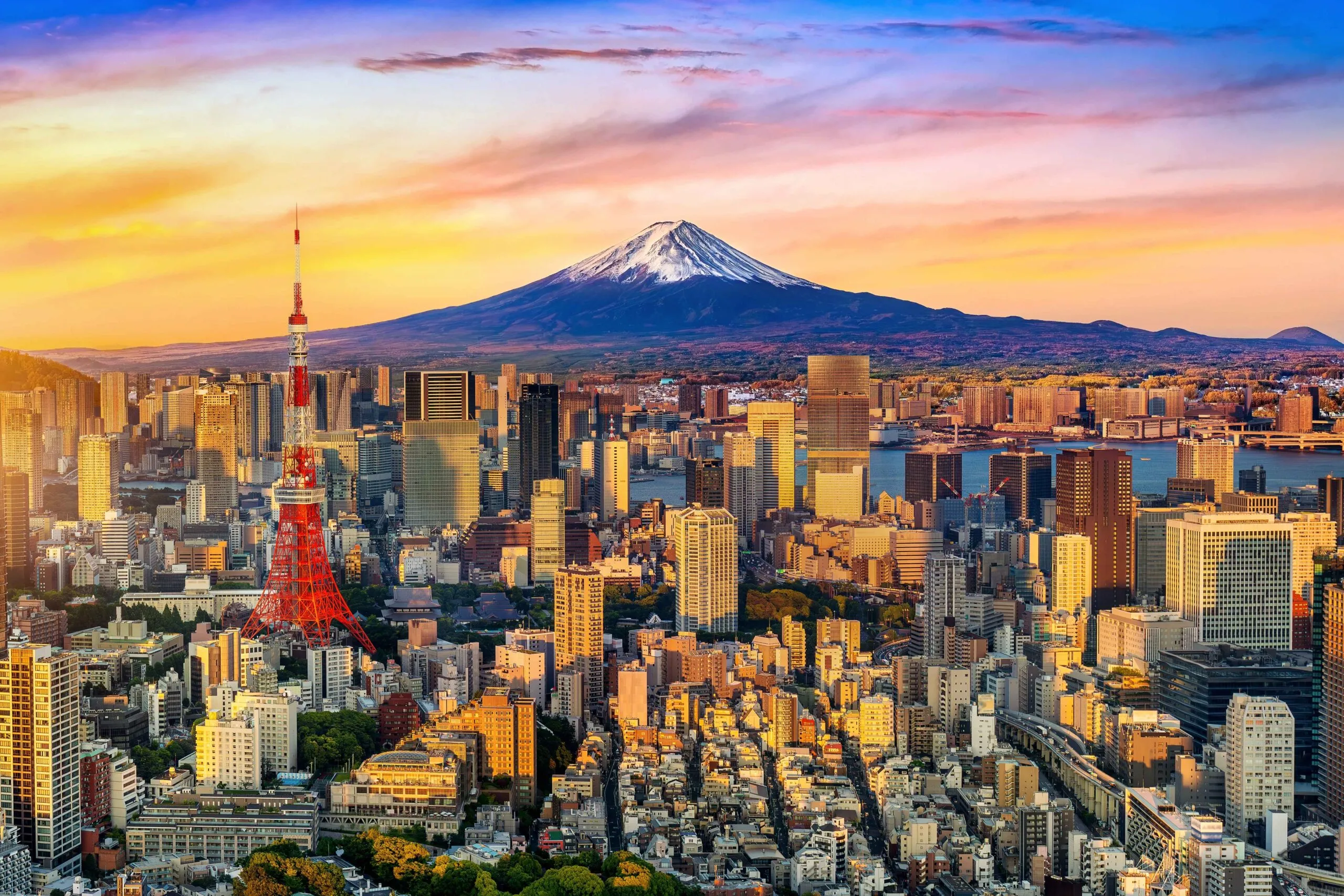 TOKYO ARRIVAL (D)