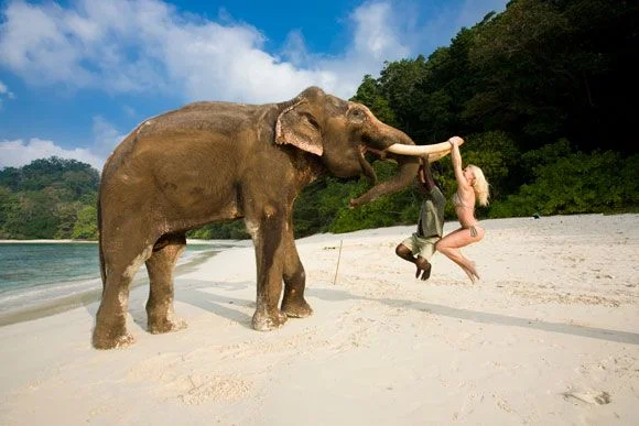 Day 3: A Boat Ride to Elephant Beach :