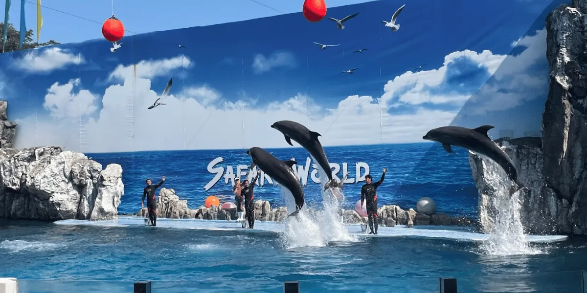 Safari world and marine park tour with Lunch