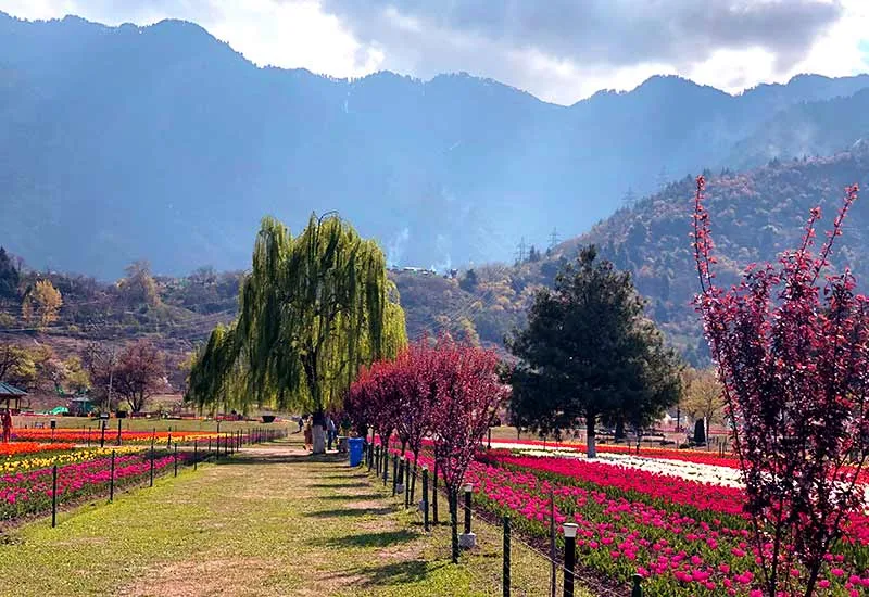 FULL DAY EXCURSION FOR SRINAGAR LOCAL SIGHTSEEINGS AND PROCEED TO PAHELGAM