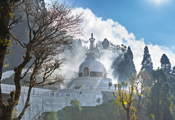 Darjeeling Full-Day Sightseeing