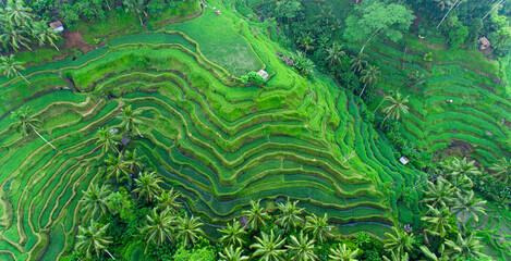 Cebu to Bali & Uluwatu Sunset Tour