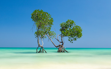 HAVELOCK