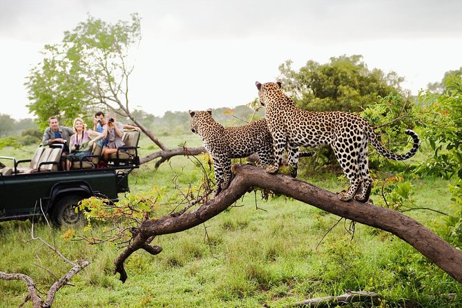 SAFARI AT YALA PARK :