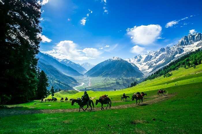 EXCURSION TOWARDS SONMARG :