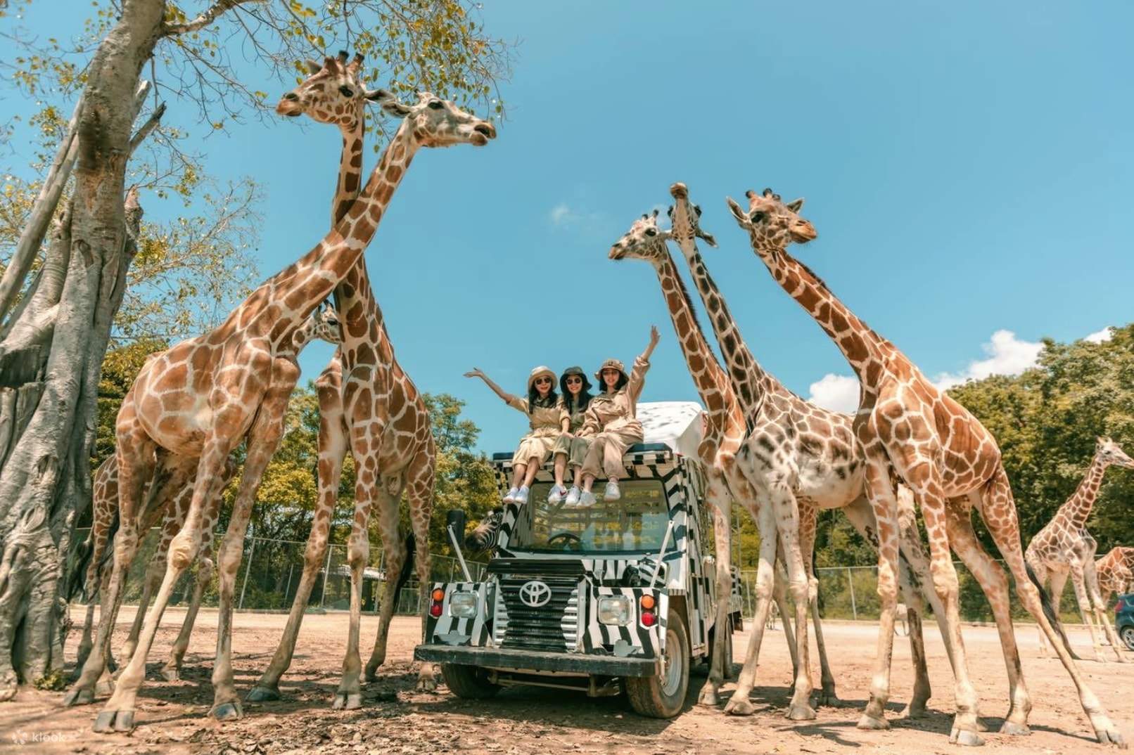 SAFARI WORLD - BANGKOK :