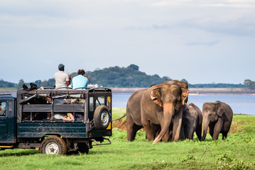 Nuwara Eliya – Ella – Yala