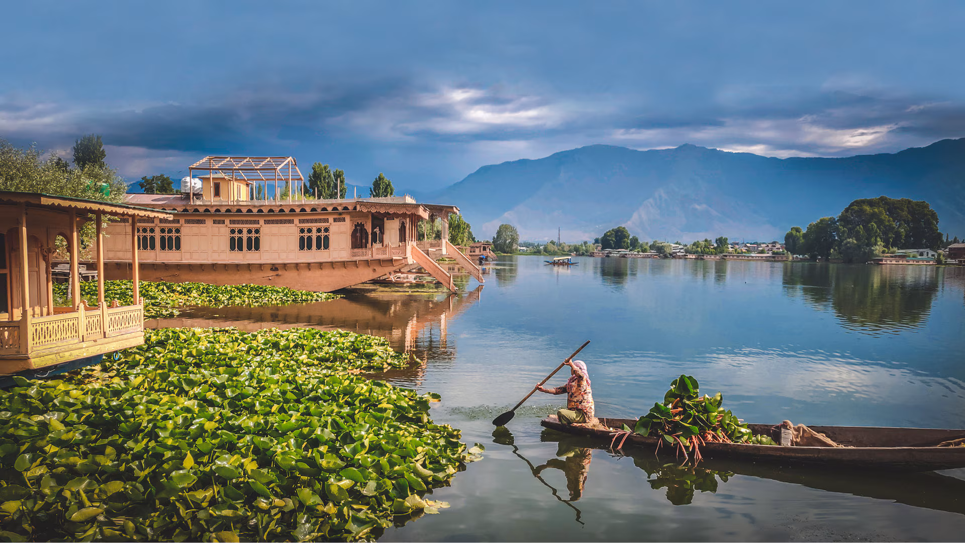 Proceed towards Srinagar