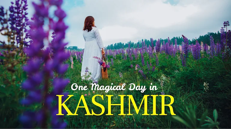 Magical Kashmir Tour Package – Srinagar, Gulmarg, Pahalgam & Sonamarg