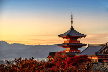Kyoto Excursion