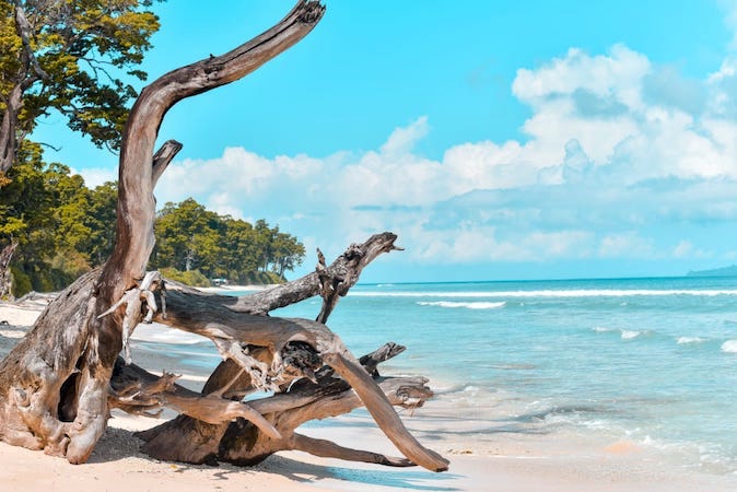 Day 2: Moved to Havelock Island & checkin :