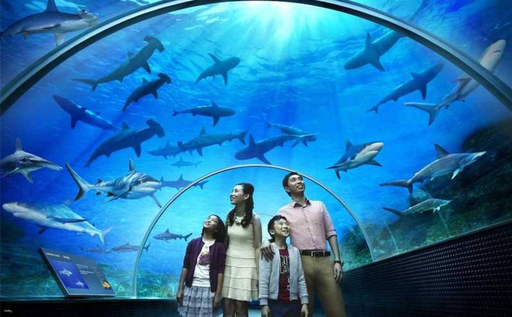 Pattaya City Tour :