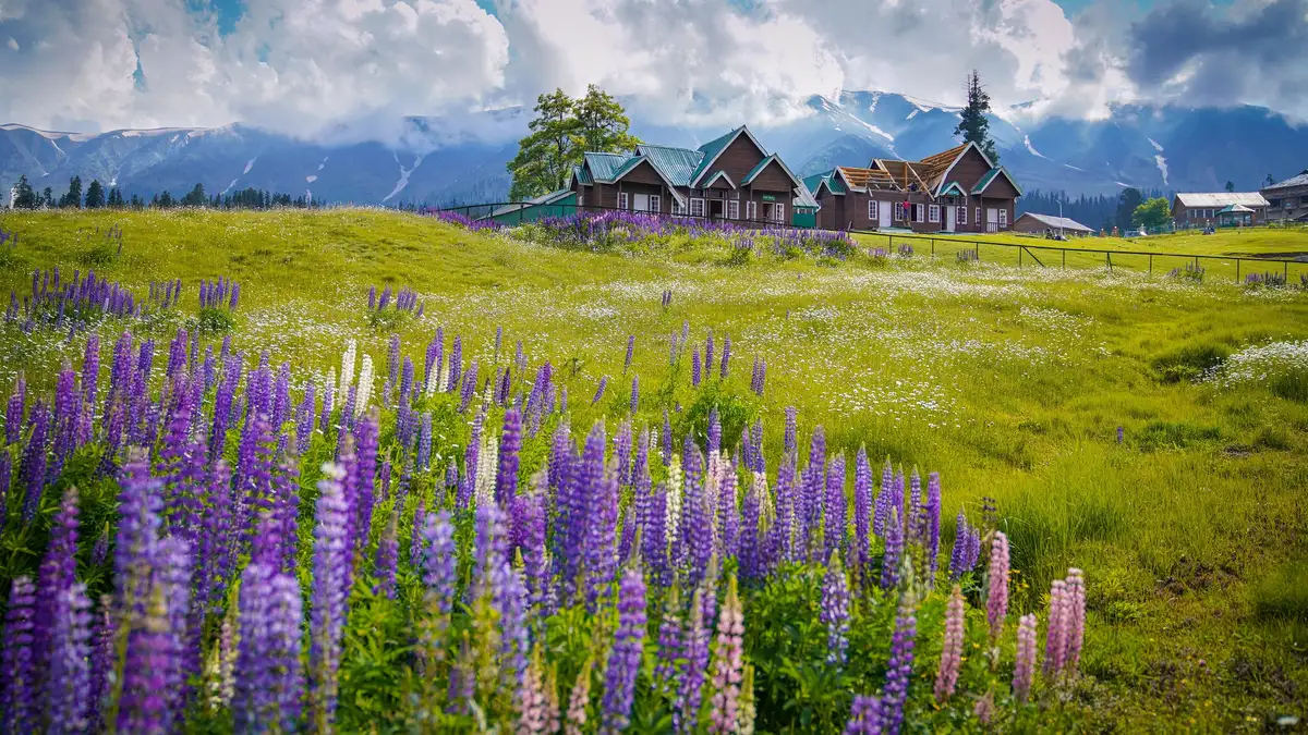  PROCEED TO GULMARG :