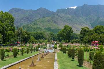 Arrival Srinagar
