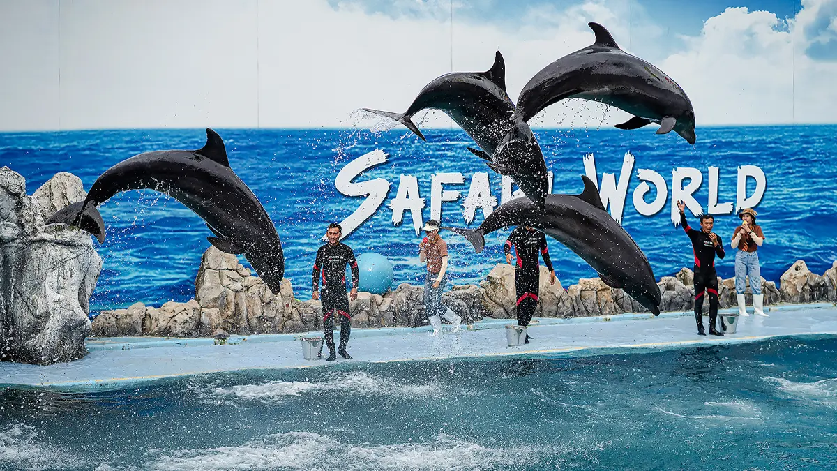 BANGKOK – SAFARI WORLD & MARINE PARK