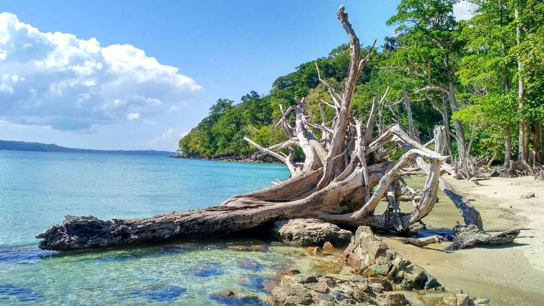 Return to Port Blair :