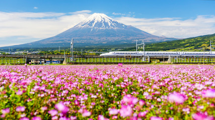 Bullet Train Experience & Mount Fuji Area