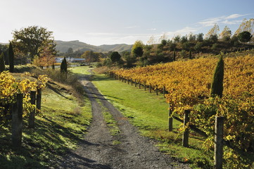 HAVELOCK