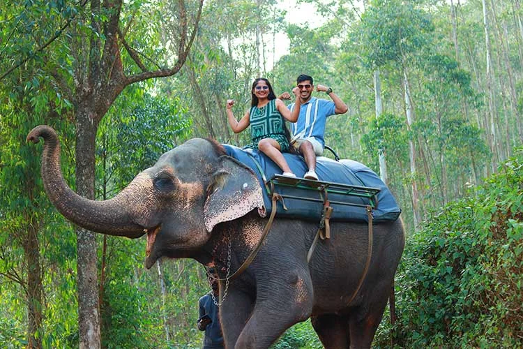 TEA, TRAILS AND TRANQUILITY (Munnar Sightseeing)