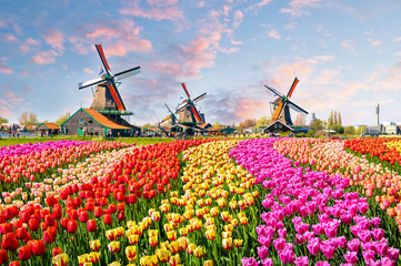 Amsterdam Sightseeing