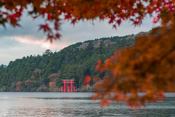 Mt Fuji & Hakone Area