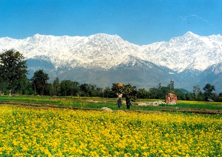 PANCHPULA, SUBHASH BAOLI & LOCAL SIGHTSEEING