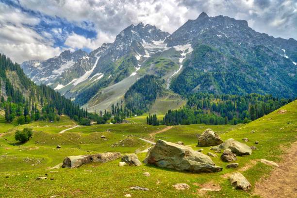 MEADOWS OF GOLD (Day Trip to Sonmarg)