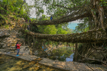 Shillong to Cherrapunjee & Return