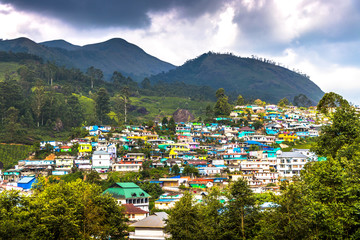 TEA, TRAILS AND TRANQUILITY (Munnar Sightseeing)