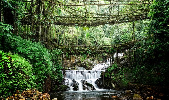 proceed to cherrapunji