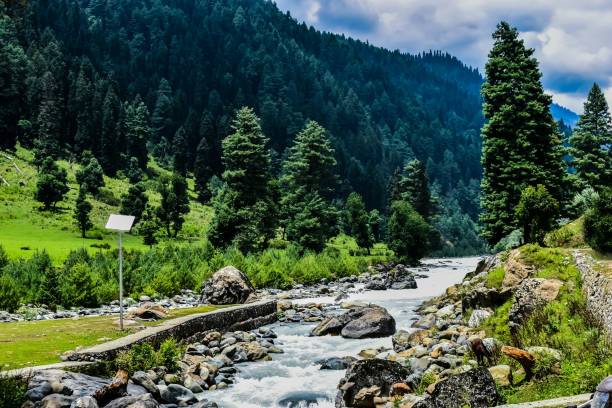 Full Day Excursion towards Pahelgam