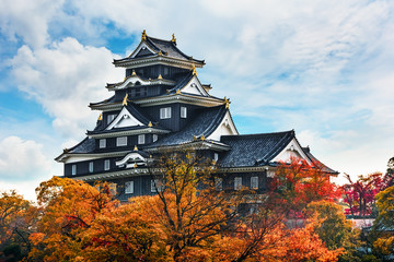 Miyajima Island & Okayama