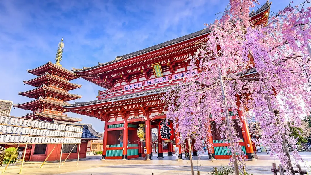 TOKYO FULL DAY CITY TOUR (B, D)
